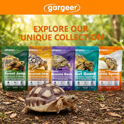 Gargeer Little Sprint Juvenile Tortoise Growth Support Supplement 3oz, Calcium, Vitamins & Amino Acids for Hatchling Sulcata, Russian, Hermann's & All Young Tortoises Species. Made in the USA. Enjoy!