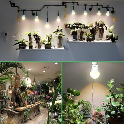 6 Pack Full Spectrum Grow Light Bulbs,A19 Grow Lights for Indoor Plants,Dimmable E26 9W Grow Bulb Replace up to 100W,Plant Lights for Indoor Growing,Flowers,Greenhouse,Indore - size: 6 Count (Pack of 1)