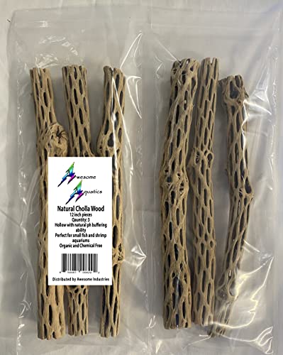 Awesome Aquatic Natural Cholla/Choya Wood 3 Pieces 12” for Shrimp Habitat and Food Treat Hermit Crabs Plecos Aquarium Decoration Lowers pH Hideouts and Chew Toys Reptiles Thorn Free Dried Organic - size: 3 pc 12 inch