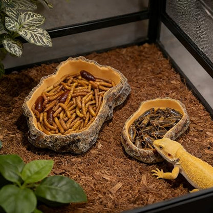 Reptile Food Dish, Terrarium Water Bowl, Feeding Bowl for Reptile Amphibian Pets - size: Large