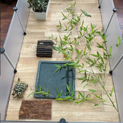 Didiseaon 4 Pcs Reptile Bark Platforms, Natural Wood Terrarium Climbing Decor, Cork Flats Enclosure Accessories for Bearded Dragon Gecko