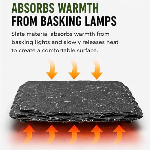 Natural Slate Reptile Basking Platform Feeding Stone for Tortoise Gecko Terrarium Decor(Rectangular Plate) - size: RECTANGULAR PLATE