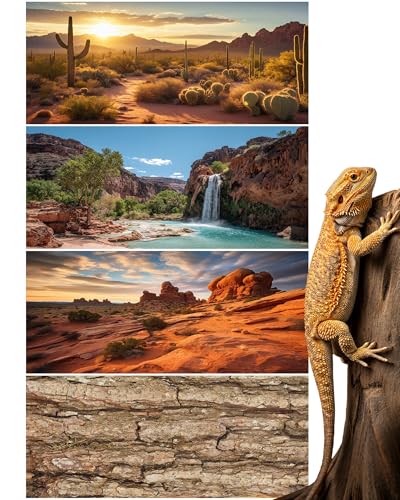 Breling 4 Pcs 48 x 18'' Reptile Tank Background 40/55/75 Gallon Bearded Dragon Terrarium Background Decor Polyester Reptile Tank Accessories for Leopard Gecko, Crested Gecko, Tortoises - size: 48 x 18 Inch