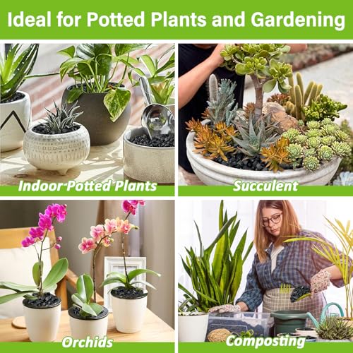 Legigo 8QT All Natural Horticultural Charcoal- Activated Hardwood Plant Charcoal for Soil Amendment, Conditioning Bonsai Soil, Succulent Soil, Terrarium Supplies, Indoor Plant Potting Soil - color: 8 QT