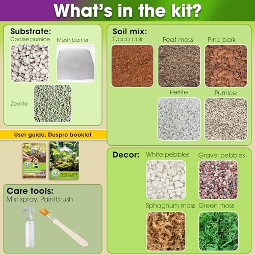DUSPRO Terrarium Kit, Include Potting Soil, Pumice, Zeolite, Green Moss, Sphagnum Moss, Decorative Stone, Mesh, Tools, DIY Terrarium Kit for Kids, Air Plant, Succulent - size: Terrarium Kit