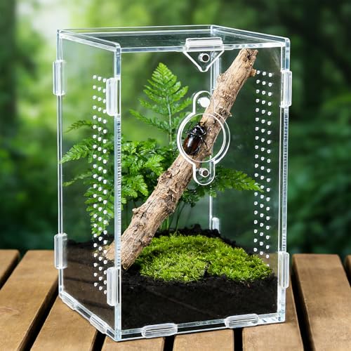 Acrylic Jumping Spider Enclosure,Reptile Enclosure,Bug Habitat, for Small Tree Dwelling Reptiles,Arboreal Tarantula Enclosure, Spider Terrarium Kit,Plastic Terrarium(4.7" X 4.7" X 8") - color: A2