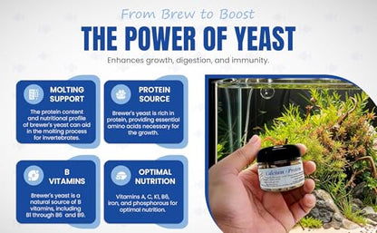 Calcium + Protein, for Strong Shells, Healthy Molts, 100% Natural, Does Not Dissolve in Water, Fast Sinking for Aquatic Shrimp, Snails, Plecos and More! Biologist Made in USA