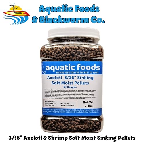3/16" Axolotl Food Soft Moist Sinking Pellets... 2-lb Med Jar | For Adult Axolotl, Also for Shrimp, Snails, Crabs, Crayfish, Bottom Tropical Fish - size: 2 Pound (Pack of 1)