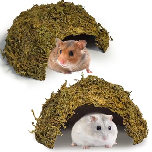 kathson 2Pcs Hamster Hideout, Hamster House, Natural Mossy Coconut Hut, Pet Hiding House, Small Animal Cage Accessories for Mouse Mice Rat Guinea Pigs Reptiles - size: 2 PCS