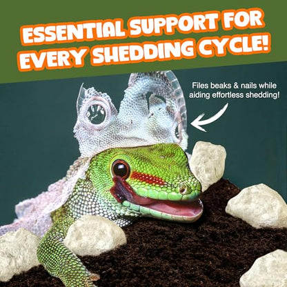 Meric CoCoo Mineral Rocks for Leopard and Crested Geckos, Reptile Enrichment, Terrarium Decor, with Lime, Calcium, and Trace Elements, 2 oz.