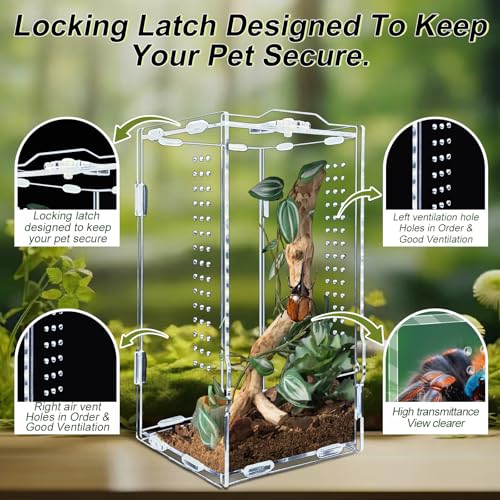 Micro Habitat Acrylic Reptile & Tarantula Enclosure, Small Tree Dwelling Reptiles, Amphibians, Spiders & Other Invertebrates - size: 8 * 8 * 14 inch