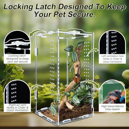 Micro Habitat Acrylic Reptile & Tarantula Enclosure, Small Tree Dwelling Reptiles, Amphibians, Spiders & Other Invertebrates - size: 8 * 8 * 14 inch