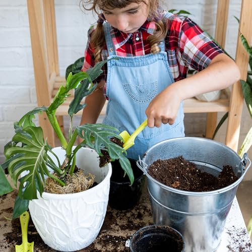 Doter Monstera Potting Soil 1qt - Premium Tropical Blend with Rapid Drainage for Growing and Repotting Monstera Deliciosa (Split-Leaf Philodendron) and Swiss Cheese Plants - size: 1qt
