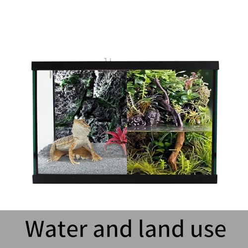 Reptile Glass Terrarium Tank 12 * 12 * 8" Full View with Top Ventilation, Amphibians Box Habitat Enclosure Cage for Frog,Spiders,Dubia Cockroach,Praying Mantis,Cricket,Tarantula,Hermit Crab - size: 12*12*8inch