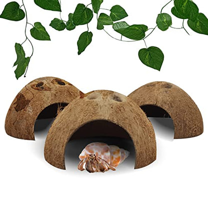 Hamiledyi Reptile Hideouts Natural Coconut Shells Hut Hermit Crab Climbing Toys Gecko Hide Cave Lizard Habitat Decor Plant Leaves Decoration for Spider Snake Chameleon (4Pcs)