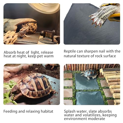 2 Pack Reptile Basking Platform 11.8 × 7.9" + 4", Reptile Slate, Basking Rock, Slate Tiles Rocks for Reptiles,Terrarium Bowls for Bearded Dragon Tortoise Turtle Ball Python Snake Lizard Gecko - size: 11.8 × 7.9 IN + 4 IN