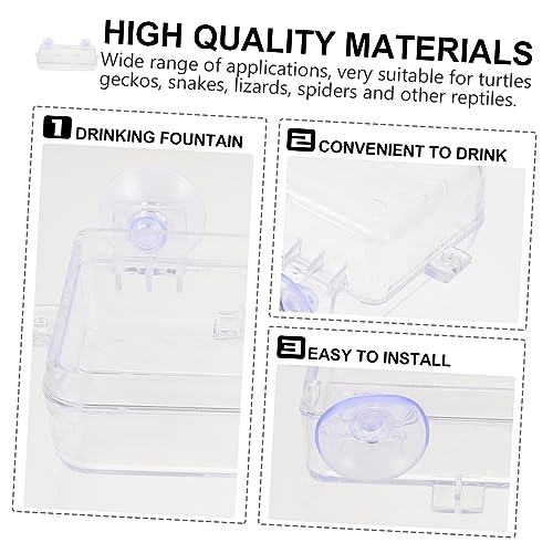BESPORTBLE 1pc Suction Cup Reptile Feeder Dish Acrylic Food and Water Bowl for Tortoises Lizards and Pets Easy to Clean Feeding Basin for Reptiles