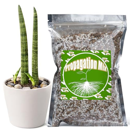 Doter Plant Propagation Potting Mix 1qt, Suitable for Rooting Plant Cuttings, Enhances Rooting by Providing Optimal Aeration and Drainage - size: 1qt