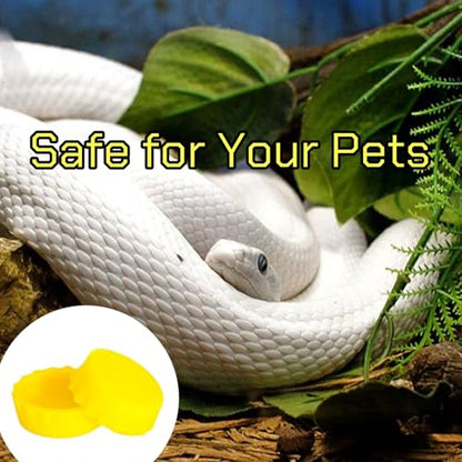 hhfvvda12 PCS Reptile Feeding Cup, Colorful Crested Gecko Food Bowl, Snake Water Dish, Bearded Dragon Terrarium Accessories