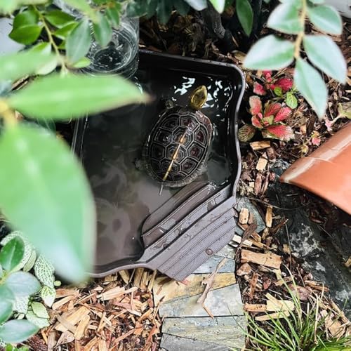 Reptile Water Feeder Automatic Water Dispenser with Ramp Extra Large Reptile Bathing Pool for Gecko, Snake, Turtle, Bearded Dragon, Lizard Bath Aquarium Ornament (with Bottle) - size: with Bottle