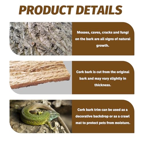 2PCS Cork Terrarium Background 15.7x11.8in Natural Cork Large Bark Backdrop Reptile Climbing Mat Habitat Decor for Spider Lizard Chamelon Turtle Beared Dragon