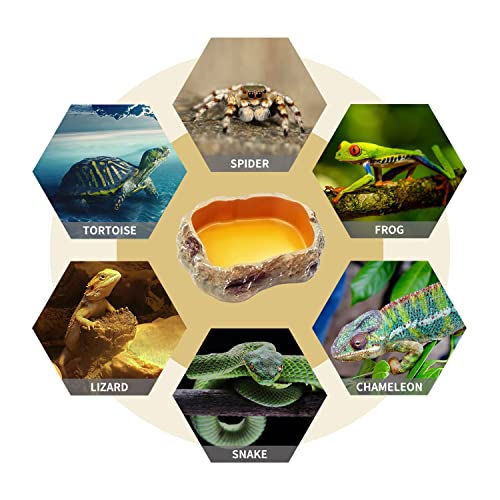 Reptile Growth Reptile Bowl Set Includes Reptile Food Dish,Reptile Water Dish,Reptile Feeding Tongs,Long Tweezers for Terrarium,for Leopard Gecko,Frog,Bearded Dragon,Snake,Tortoise,Hermit Crab
