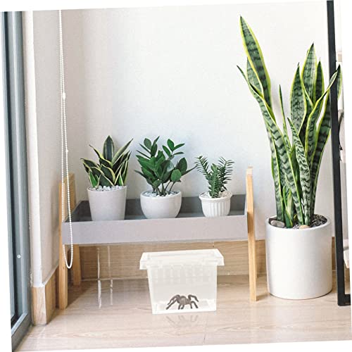 Reptile Breeding Box Transparent and Lizard Feeding Case Ventilation for Optimal Pet Growth and Easy Observation Habitat for Geckos and