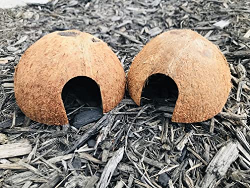 Hexagrowth Coco Hut, Betta Fish cave, Shrimp Hideout, Pleco shelter, Coconut Shell for Hermits, Toad, 2 Packs