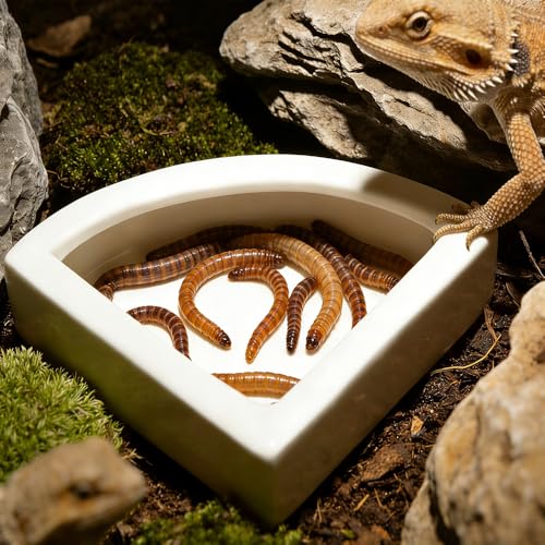 2 Pcs Reptile Food Dish Bowl Ceramic Anti-Escape Mealworms Bowl for Small Reptile Leopard Bearded Dragon Chameleon Hermit Crab (Triangle Shape)
