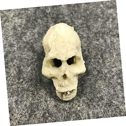 Gecko Tank Accessories 2pcs Mini Skulls for Aquarium Human Skull Aquarium Decoration Reptile Tank Decor Style