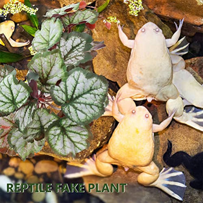 Ipetboom Suction Cups for Hanging Plants Reptile Plants Terrarium Plants Leaf for Reptile Terrarium Plants Indoor Reptile Tank Decor Plant for Reptile Terrarium Hanging Reptile Habitat