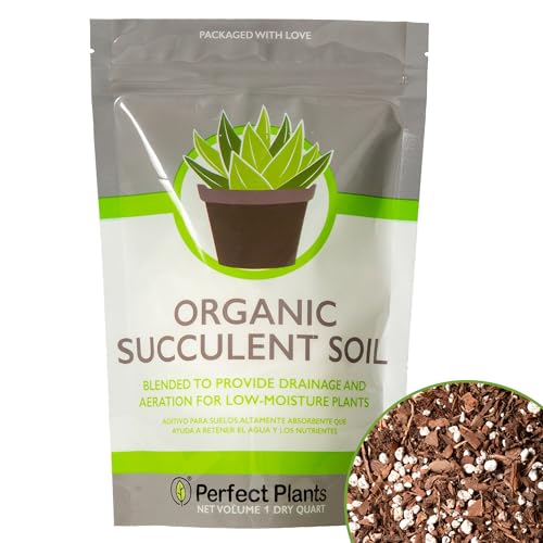 Succulent & Cactus Soil Mix by Perfect Plants (1QT) - size: 1 quart