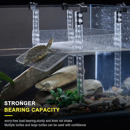Adjustable Turtle Basking Platform, 10-13" Wide, Slip-Resistant Ramp, Acrylic, Transparent, Ideal for Turtle Tank Accessories - size: M