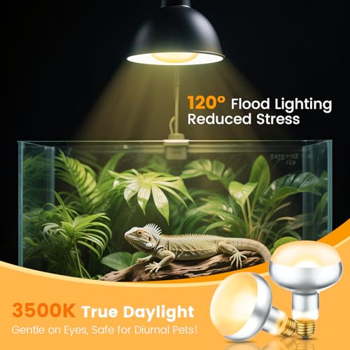 REPTITRIP Dual Reptile Light Fixture with 100W Daytime Heat Bulb & 100W Nighttime Ceramic Heat Emitter, 2 Independent Switches, Reptile Heat Lamp Combo Pack - No UVB - size: ST1
