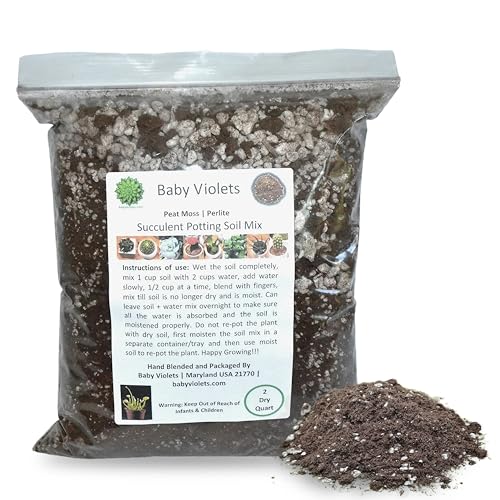 Succulent (½ Gallon / 2 quarts) Plant Potting Soil Mix Peat Moss & Perlite - size: 2qt
