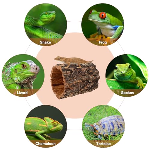 Veemoon Natural Tree Trunk Reptile Hide Cave Reptile & Amphibian Habitat Hideouts Natural Cork Bark Tree Trunk Terrarium Log Cave Wood Climbing Hide for Gecko Snakes Hermit Crabs Frog, 4. 9×5. 9"
