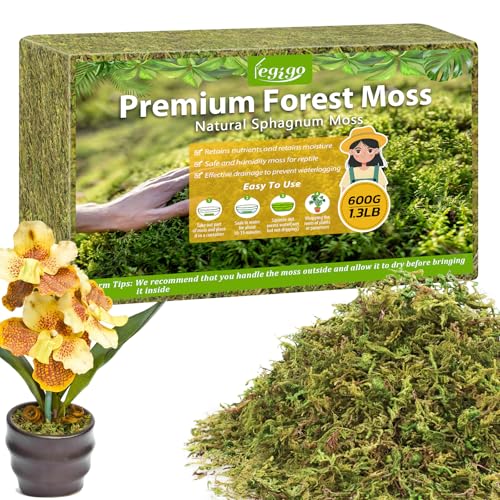 Legigo 1.3LBS Sphagnum Moss for Plants, 25QT Natural Orchid Moss Potting Mix Dried, Green Forest Plant Moss for Orchid Repotting Carnivorous Succulents Indoor Potted Plants Gardening and Reptiles - color: 25 QT(Appx.1.3lbs)