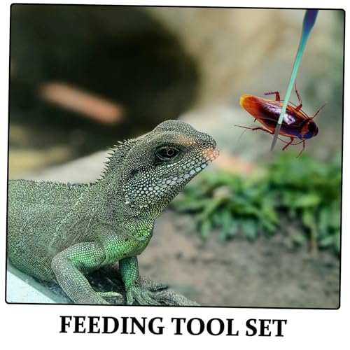 2pcs Aquarium Tweezers: Stainless Steel Straight And Curved Tweezers Set - Long Handle Reptile Feeding Tongs For Lizards Spider Snake