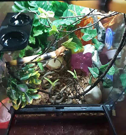 Resin Reptiles Branch for Terrarium | Crested Gecko Tank, Arboreal Cage Decoration, For Tree Frog Gecko Lizard Snake Anole, Climbing