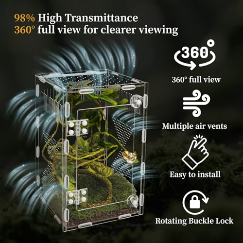 Acrylic Jumping Spider Habitat, Reptile Terrarium Easy Assembly, Bug Enclosure, Praying Mantis Habitat, Frog Enclosure, 9.8 * 5.9 * 5.9in - size: M-9.8*5.9*5.9in-Upgrade