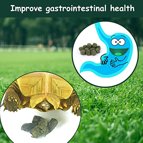 Timothy Hay Cubes 10 oz with Small Size - Timothy Grass Pellets for Tortoises Rabbits Guinea Pig Chinchilla | Small size timothy grass pellets, suitable for tortoises, rabbits, guinea pigs, chinchillas - size: 10 Ounce (Pack of 1)