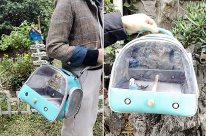 Bird Carrier, Portable Small Bird Parrot Parakeet Carrier with Standing Perch and Stainless Steel Tray, Side Access Window Collapsible (Green, Clear Windows) - color: Green