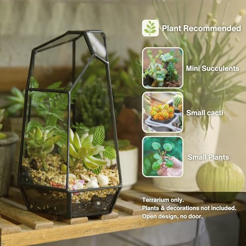 NCYP Small No Door Glass Geometric Terrarium - 4.9 x 3.9 x 7.4 Inches Irregular Clear Terrarium Pot for Mini Succulents, Small Cactus, Indoor Garden Tabletop Decoration (No Plants) - size: 4.9"x3.9"x7.4"