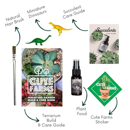 Cute Farms Terrarium Starter Kit | Moss, Vermiculite, Soil, Plant Food, Brush, Build and Care Guide | DIY Succulent Terrarium Kit for Adults and Kids - style: Terrarium Kit (No Glass)