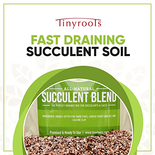 Succulent Soil - Cactus Soil Potting Mix Helps Avoid Over-Watering, Provides Optimal Water Retention for Your Indoor Plants