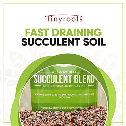 Succulent Soil - Cactus Soil Potting Mix Helps Avoid Over-Watering, Provides Optimal Water Retention for Your Indoor Plants