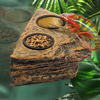 Reptile Magnetic Feeder Ledge, Reptile Feeding Ledge w 4 Cups,Plastic Reptile Water Bowl & Food Dish, Gecko Feeding Bowls, Reptile Terrarium Tank Accessories for Bearded Dragon Lizard Snake Chameleon