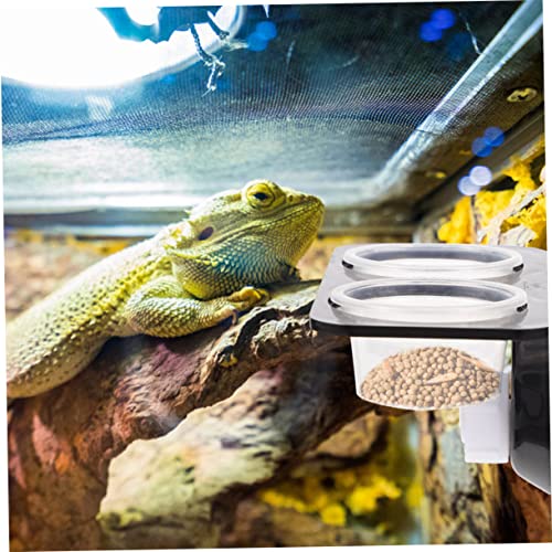 Reptile Feeder Set with Suction Cups Random Color Gecko Feeding Ledge and Water Bowl Stable Design for Chameleons and Lizards 2-Piece Terrarium Accessory