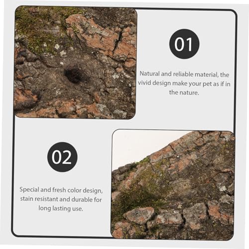 Totority Natural Cork Bark Reptile Decor Climbing Platform Rough Texture Background for Gecko Lizard Snake Habitat Terrarium Accessories