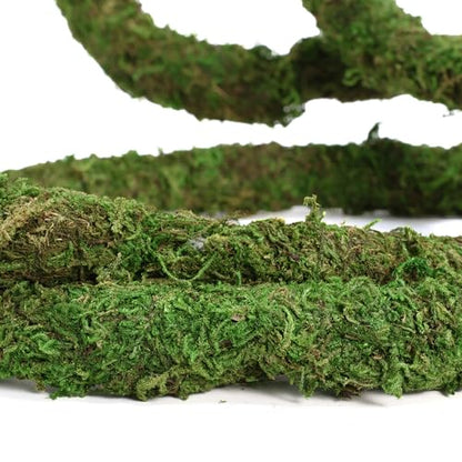 USMOLA Moss Vine for Reptiles, Bendable Climbing Vines Reptile Tank Accessories, Natural Moss Rope for Leopard Gecko, Lizard, Snake, Chameleon, Frog Terrarium Decor (Jungle Green, 6.5 FT) - size: 6.5 FT